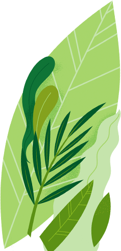 seedorashop.com