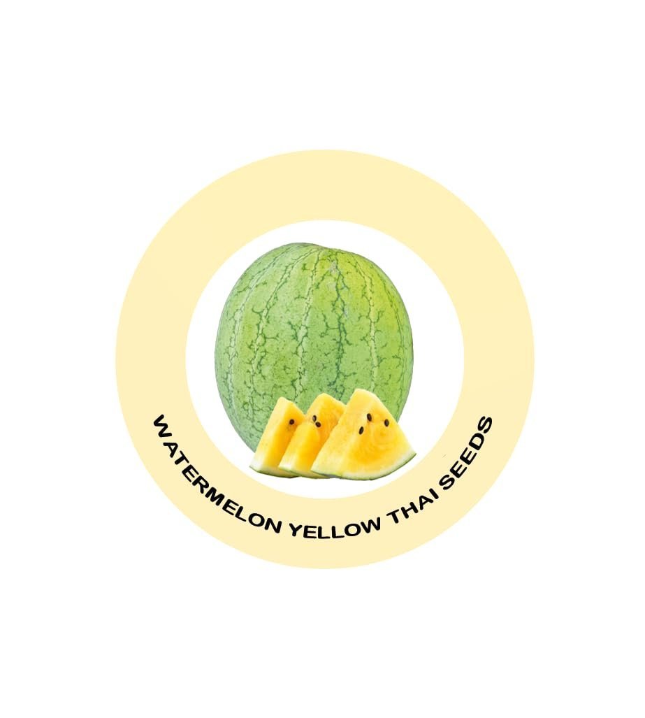 Watermelon Yellow Thai Vegetable Seeds, Vegetable Seeds for Home Gardening, Vegetable Planting Seeds for Kitchen, Watermelon Yellow Thai Seeds (Pack of 2g) - Image 3