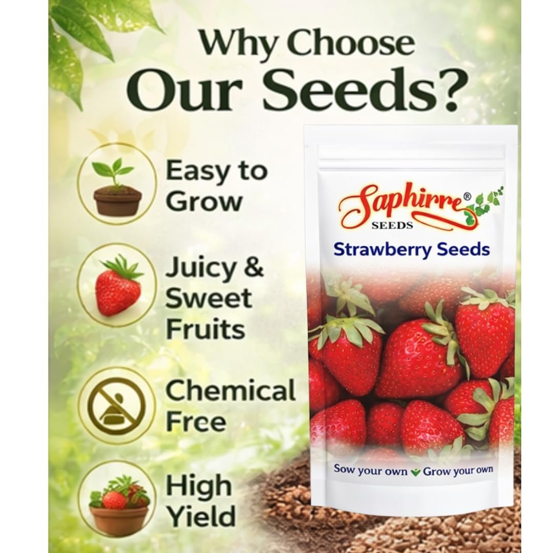 Strawberry Seeds | Pack of 2| 200+ Seeds | High Germination | Easy to Grow Fruit Seeds for Home Gardening | Ideal for Pots, Balcony, Terrace & Grow Bags - Image 3