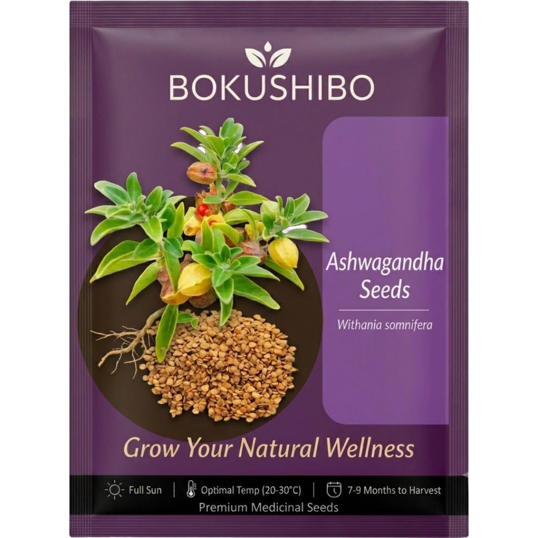 Organic Ashwagandha Seeds for Planting & Farming (Withania Somnifera/Indian Ginseng) - Pack of 500 mg | High Germination Rate Open-Pollinated Non-GMO Ayurvedic Herb Seeds for Home Garden