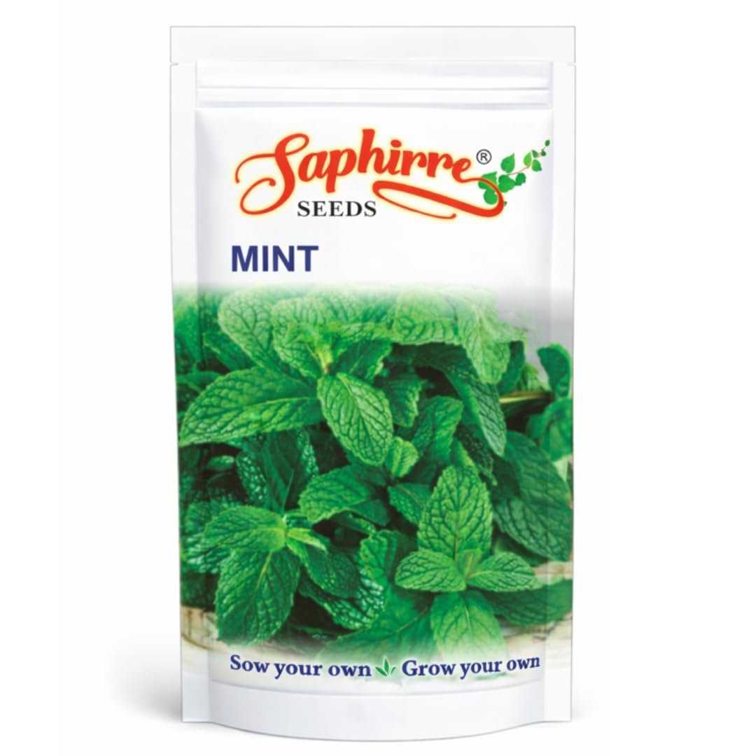 Mint (Pudina) Seeds | Pack of 2| 200+ Seeds | High Germination | Easy to Grow Herb Seeds for Home Gardening | Ideal for Pots, Balcony, Terrace, Kitchen Garden & Grow Bags