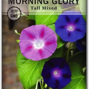 Morning Glory Collection Seed for Planting a Beautiful Flower Garden; Non-GMO Heirloom Seeds; With Planting Kit Wonderful Gardening Gifts