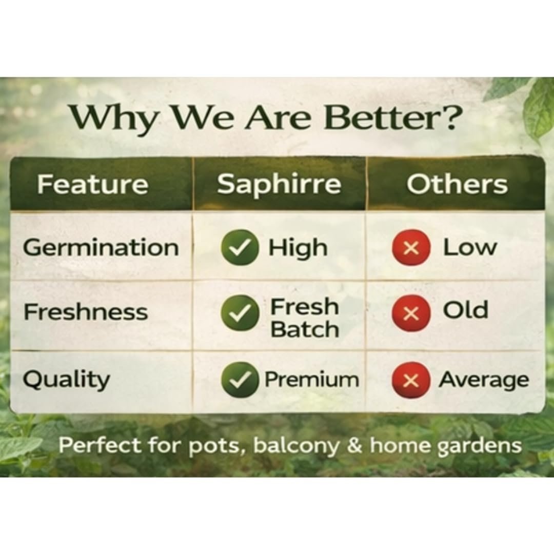Mint (Pudina) Seeds | Pack of 2| 200+ Seeds | High Germination | Easy to Grow Herb Seeds for Home Gardening | Ideal for Pots, Balcony, Terrace, Kitchen Garden & Grow Bags - Image 6