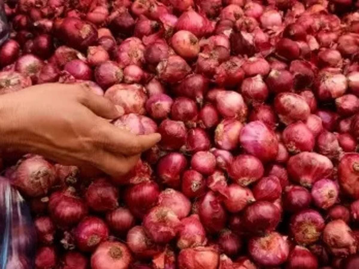 Small onion seeds for farming (600 seeds) - Image 3