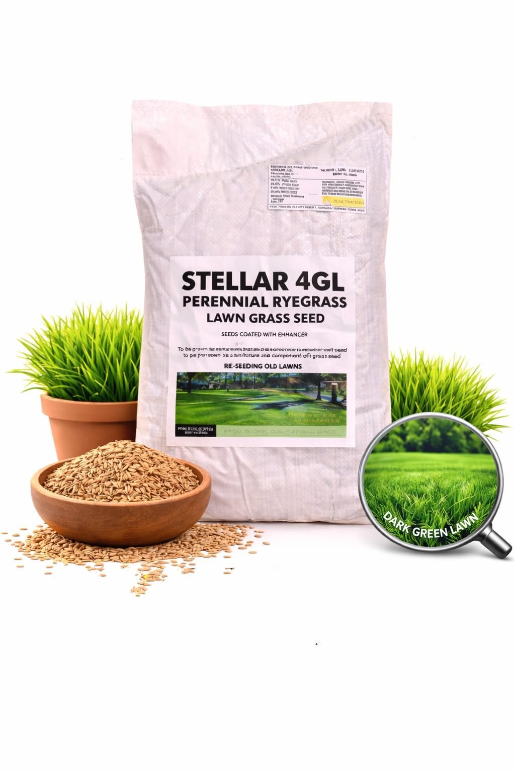 Peak Traders, Stellar 4GL Perennial Ryegrass Lawn Grass Seed, Dark Green Lawn, 5 LBS (2.27 Kg) - Image 4