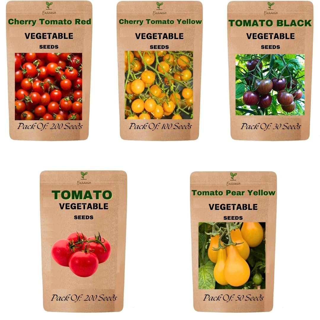 Premium All Season 5 Tomato Seeds Collection | Includes Free Seed Germination Paper & Planting Guide | Seed Germination Result | Ideal for Home, Terrace & Kitchen Gardening
