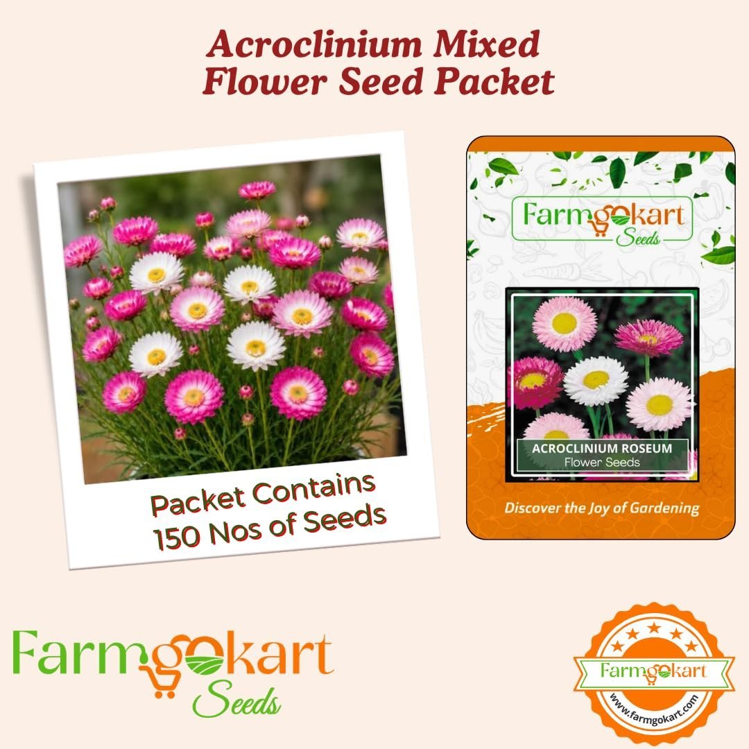 Winter Season ~ Flower Seeds Combo Collection Pack of 6 varieties for Home Garden ~ Dahlia, Sweet William, Mesembrayanthem, Salvia, Gazania and Verbana - Image 5
