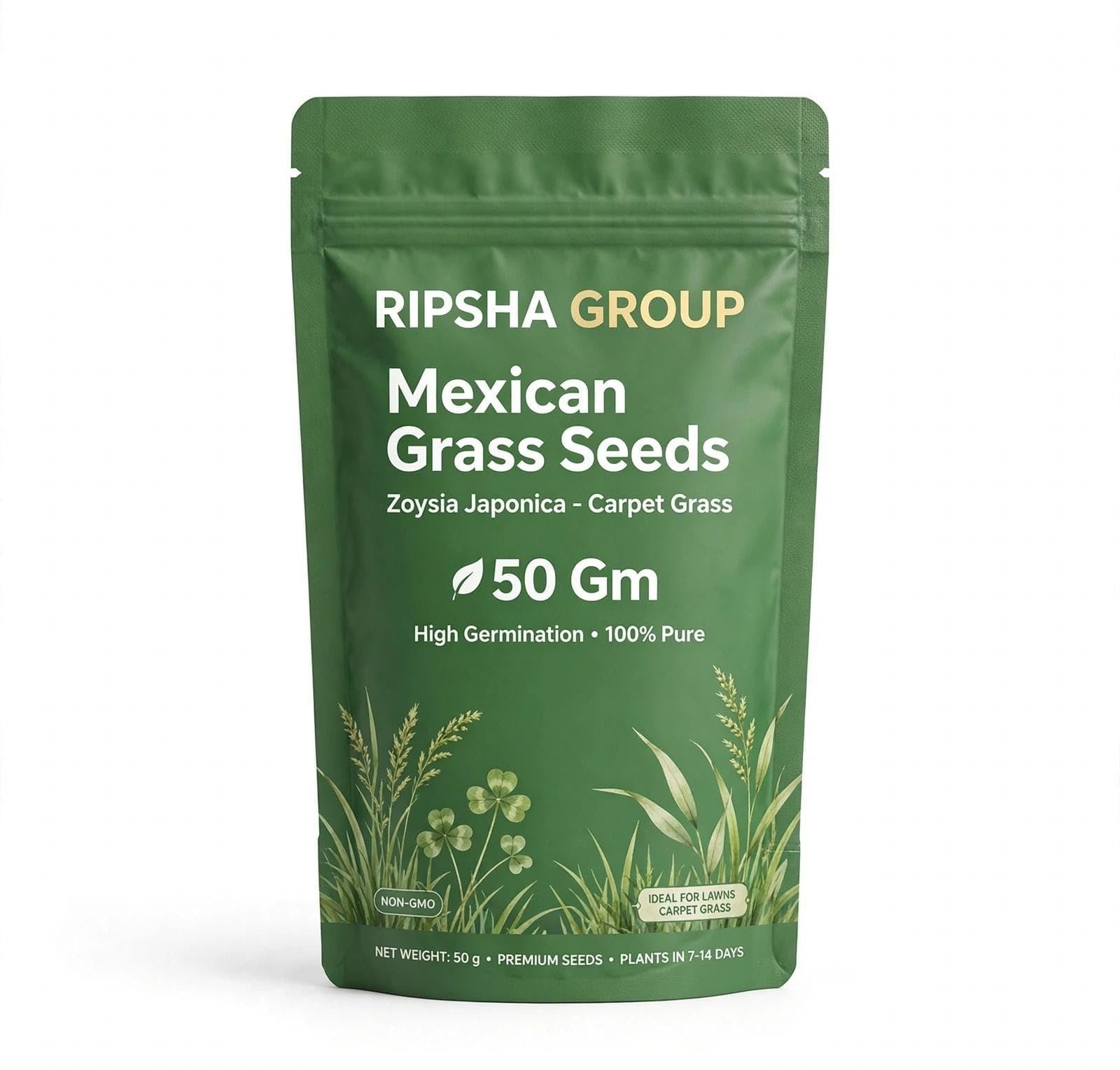 Mexican Bermuda A1 Grass Seeds, 50g Pack of 1