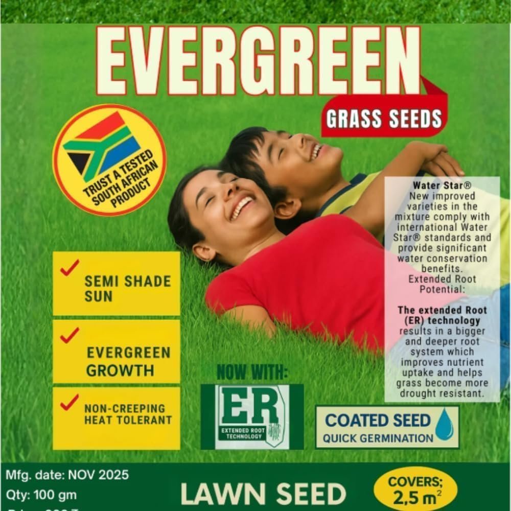 All Seasons Evergreen Grass Seeds Fast Germination Lawn Grass Seed Mix for Year-Round Green Turf Garden Lawn Yard Balcony Landscaping Easy Grow Durable Grass (PACK OF 2) - Image 5