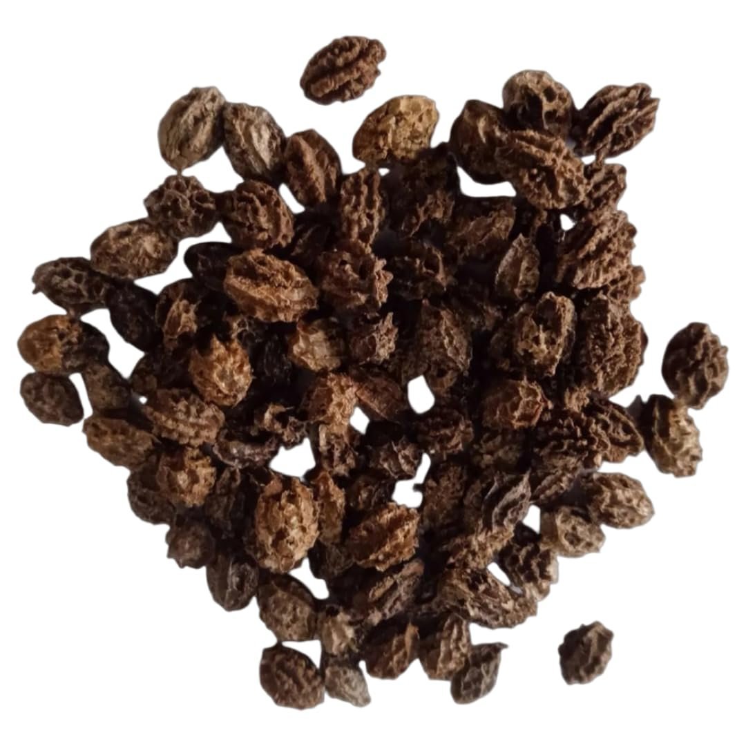 Taiwan Red Lady 786 F1 Original Hybrid Papaya Seeds, Non-GMO Organic, High Germination Rate (95%), Disease Resistant, All Seasons (Net. 50+ Seeds) - Image 3