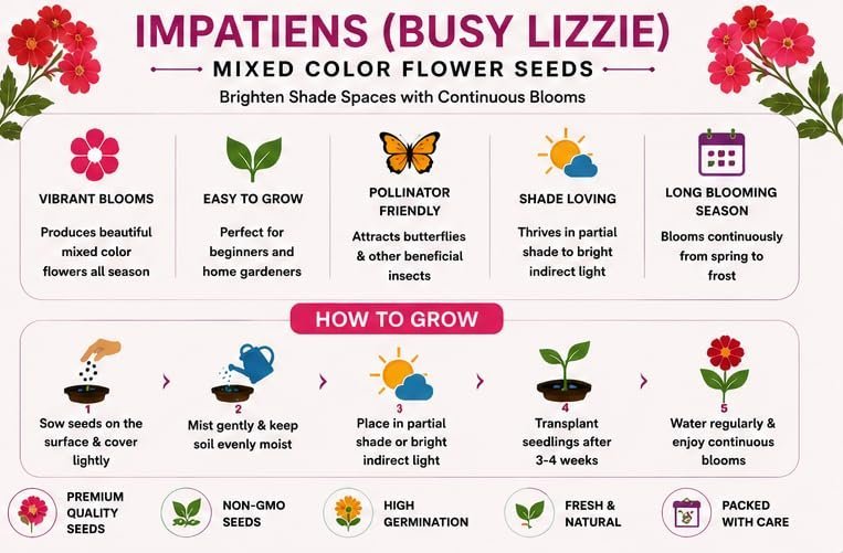 Impatiens Flower Seeds | Mixed Color Busy Lizzie Flower Seeds | Premium Non-GMO Annual Flower Seed | Easy to Grow for Home Garden, Balcony, Shade Garden, Hanging Baskets & Pots | Approx. 100+ Seeds - Image 3