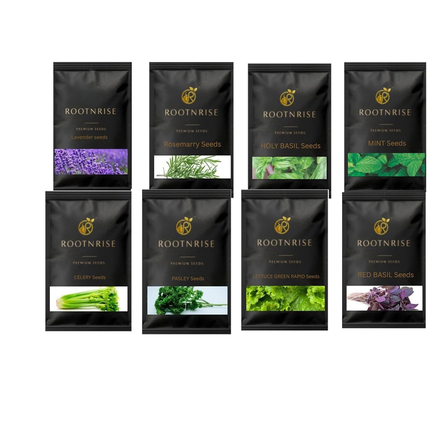 Rootnrise Seeds Easy to Grow 8 Herb Seeds Combo (600+ Seeds)| Rosemary, Mint, Lavender, Tulsi, Red Basil, Parsley, Celery, Lettuce| Kitchen & Balcony Gardening| Best Gift for Gardeners