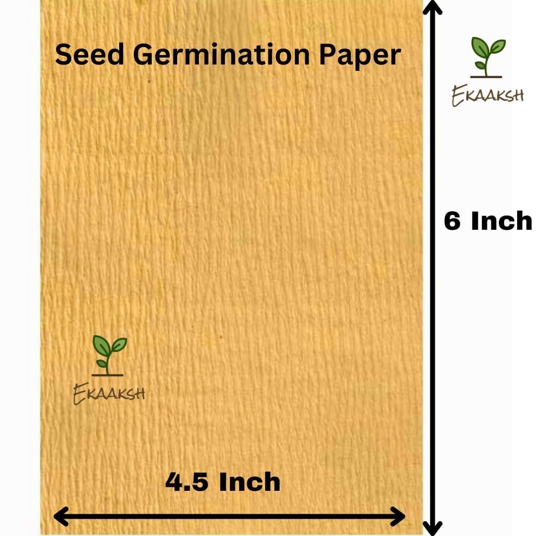 Premium All Season 7 Tomato Seeds Collection | Includes Free Seed Germination Paper & Planting Guide | Seed Germination Result | Ideal for Home, Terrace & Kitchen Gardening - Image 3