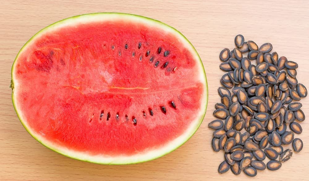 watermelon seeds Pack Of 20 - Image 2