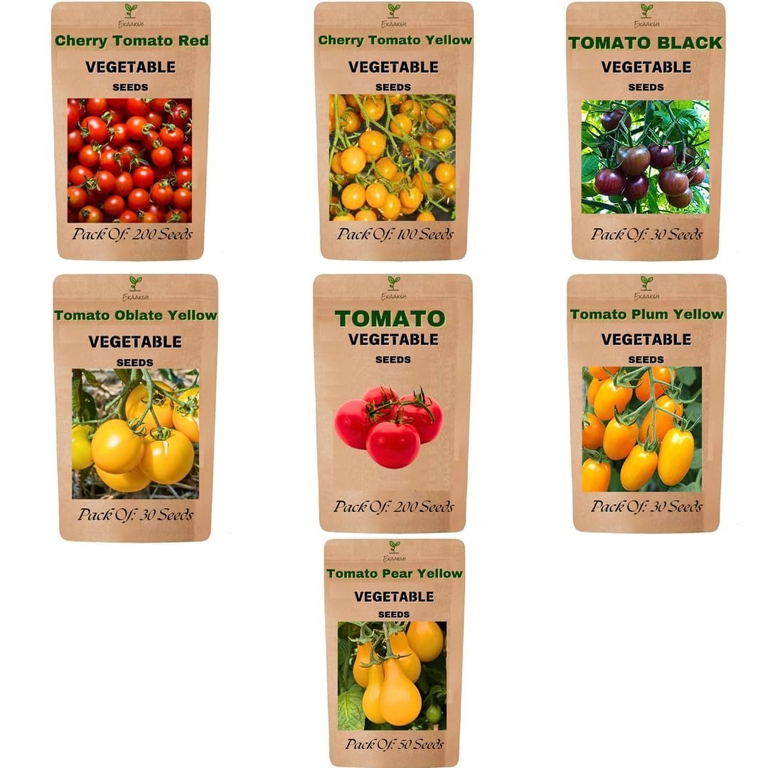 Premium All Season 7 Tomato Seeds Collection | Includes Free Seed Germination Paper & Planting Guide | Seed Germination Result | Ideal for Home, Terrace & Kitchen Gardening