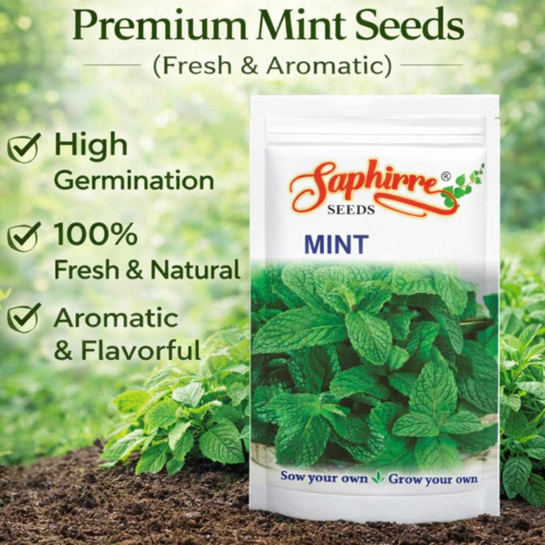 Mint (Pudina) Seeds | Pack of 2| 200+ Seeds | High Germination | Easy to Grow Herb Seeds for Home Gardening | Ideal for Pots, Balcony, Terrace, Kitchen Garden & Grow Bags - Image 3