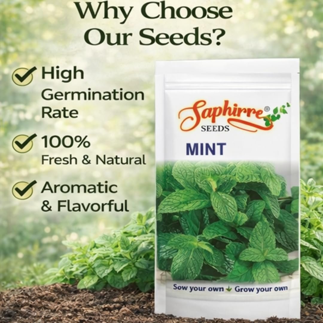 Mint (Pudina) Seeds | Pack of 2| 200+ Seeds | High Germination | Easy to Grow Herb Seeds for Home Gardening | Ideal for Pots, Balcony, Terrace, Kitchen Garden & Grow Bags - Image 4