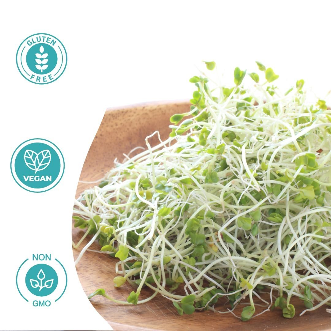 Sprouting Seeds Combo – Alfalfa, Clover & Radish (120g each) | High-Germination, Non-GMO | Naturally Rich in Enzymes & Fiber | Grow Fresh Sprouts at Home in 3–5 Days - Image 5