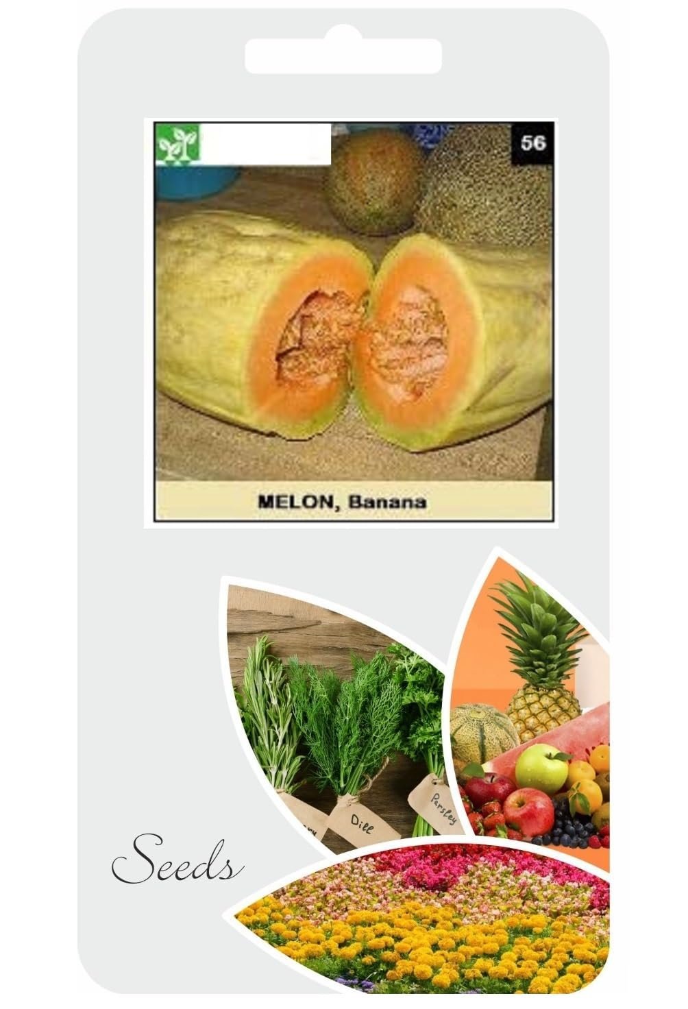 BANANA MUSK MELON Seeds For Planting-(800 Seeds)