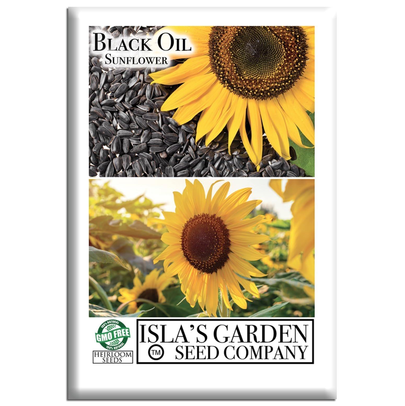 Isla's garden seeds Black Oil Sunflower Seeds For Planting, More Than 150 Flower Seeds Per Pack (Island Garden Seeds), Non-GMO Traditional Seeds, Scientific Name