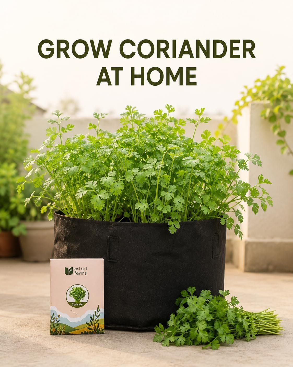 Coriander Seeds (Dhaniya) 20 g - Image 2