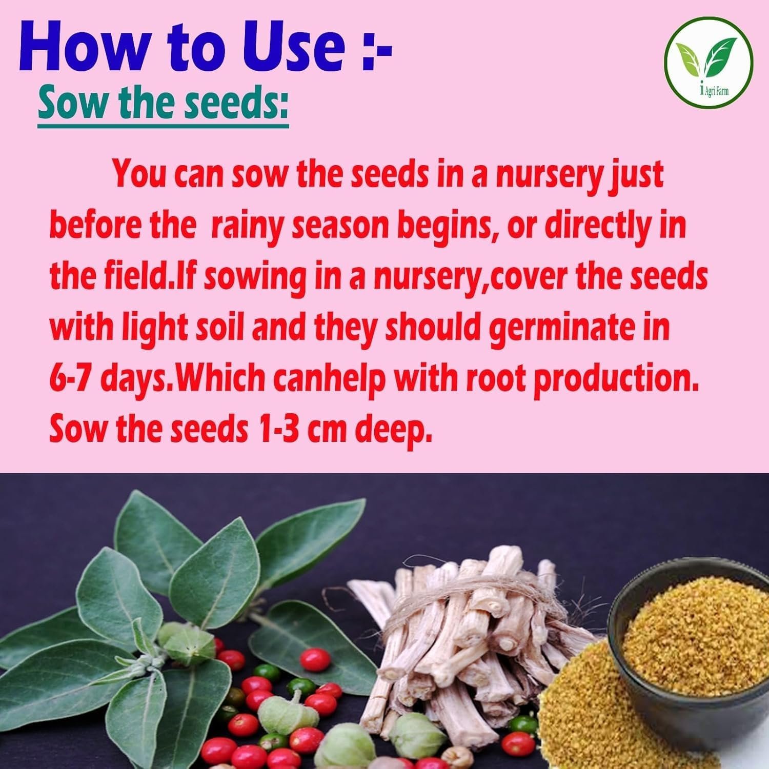 Ashwagandha Cultivation Seeds, 1 Kg, Jawahar-2 Variety - Image 7