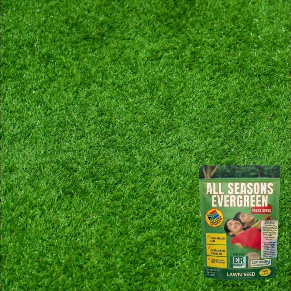 All Seasons Evergreen Grass Seeds Fast Germination Lawn Grass Seed Mix for Year-Round Green Turf Garden Lawn Yard Balcony Landscaping Easy Grow Durable Grass (PACK OF 2) - Image 6