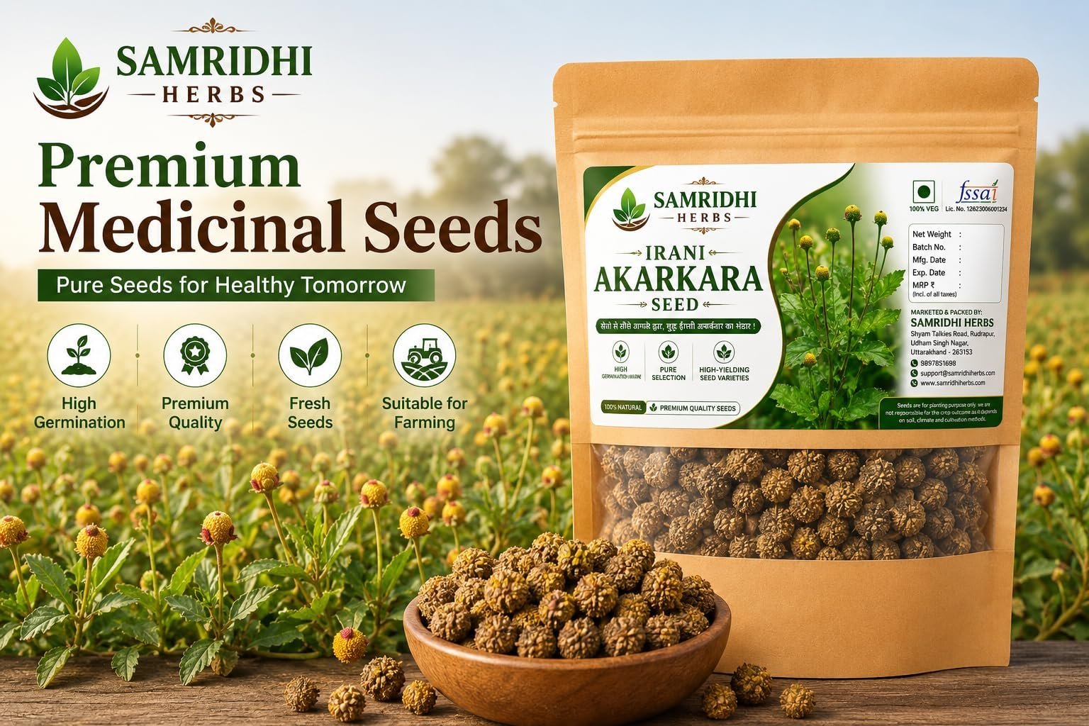 Akarkara (Acmella oleracea) Flower Seeds for Planting | Seeds for Home Gardening, Nursery & Outdoor Cultivation (50g × 1 Pack, 50, Grams) - Image 2