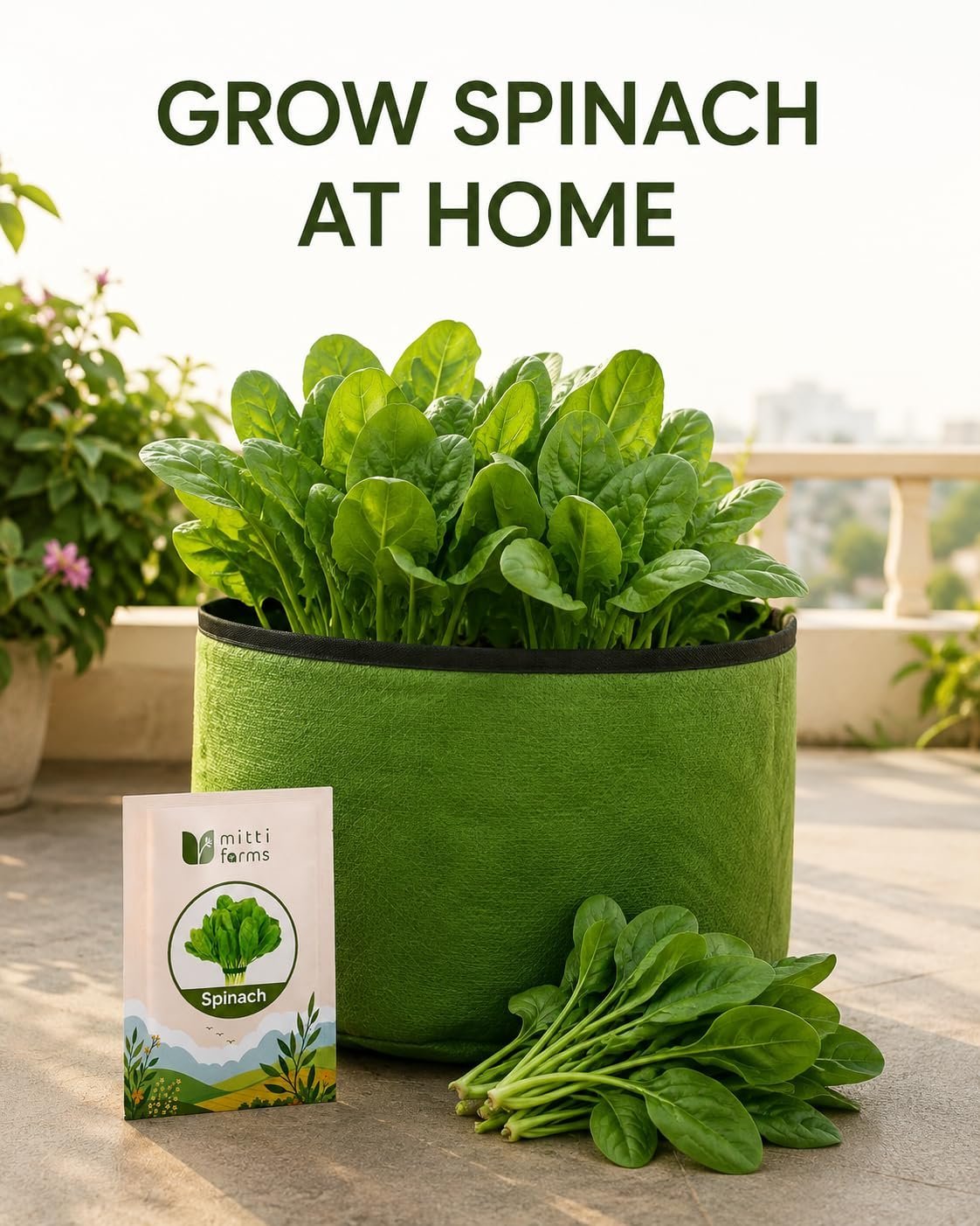 Spinach Seeds (Palak) 20 g - Image 2