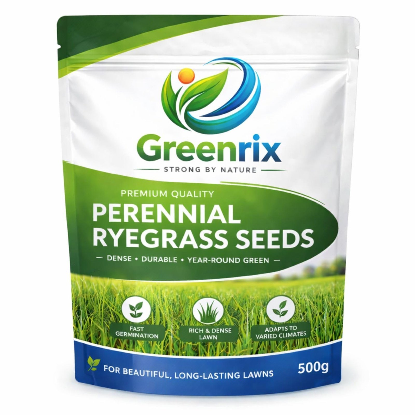 Perennial Ryegrass Seeds for Lawn | 500g (Covers 20 Sq Meter Area)
