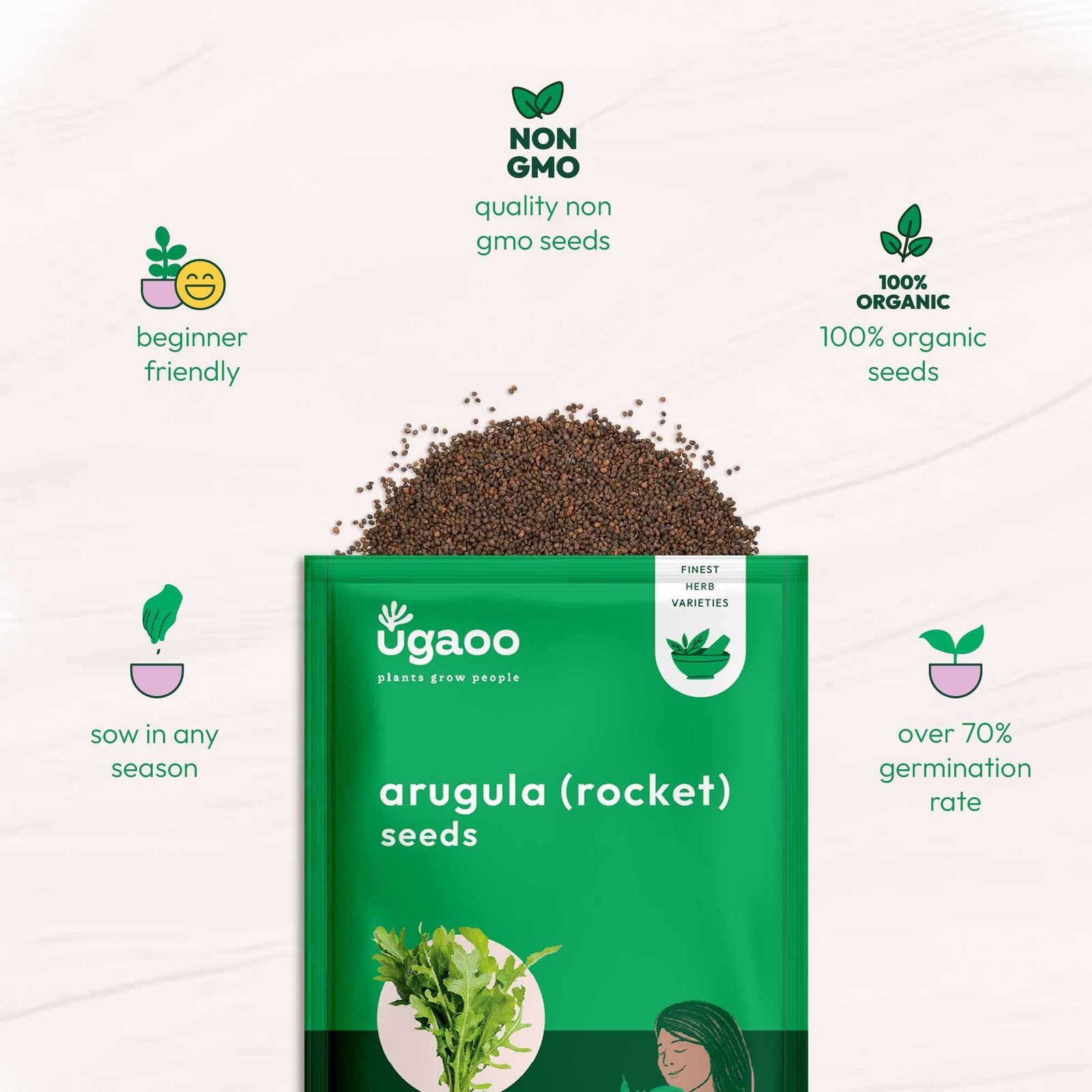 Rocket Arugula Herb Seeds (Green, Pack of 1000) - Image 5