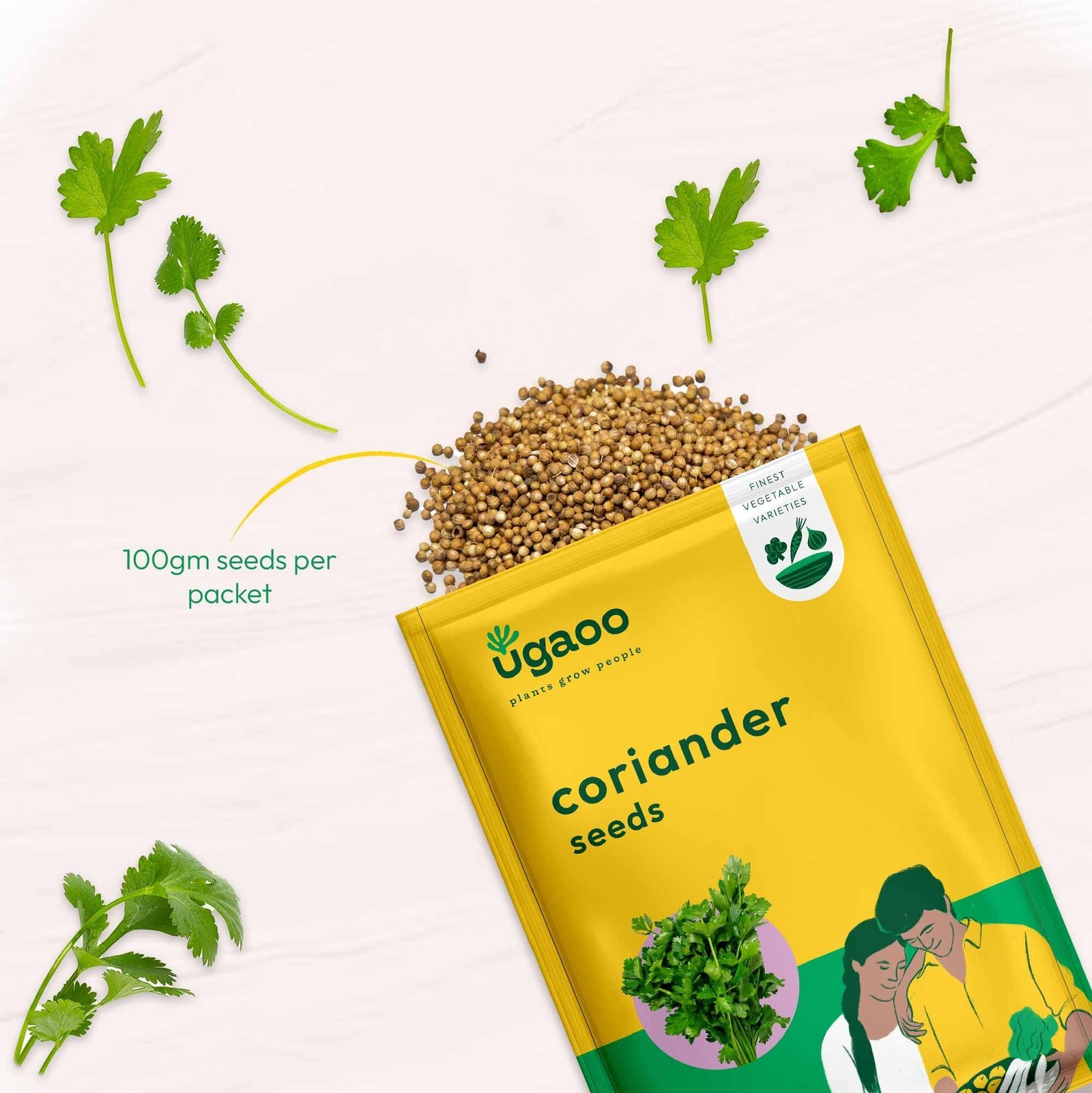 Coriander Vegetable Seeds (Green, Pack of 6g) - Image 2