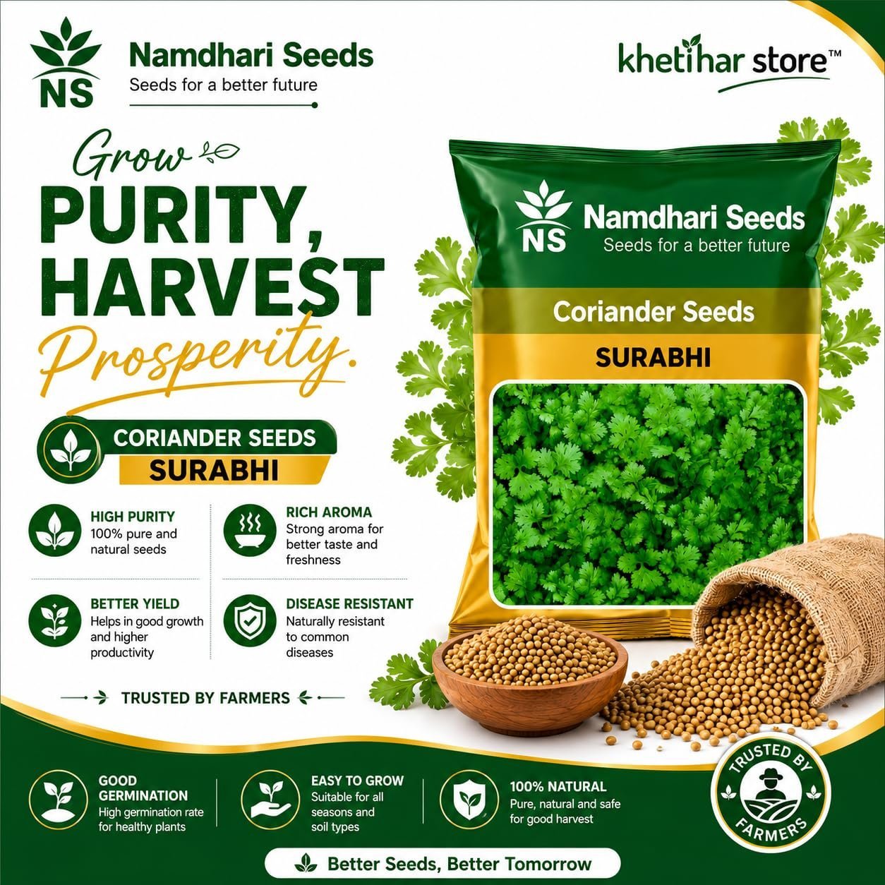 Namdhari Seeds Surabhi Coriander Seeds (Dhania Seeds) 500g - Image 3
