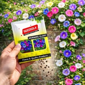 Morning Glory Mixed Flower Seeds for Planting | Multicolour Climbing Flowers | Pack of 50 Seeds