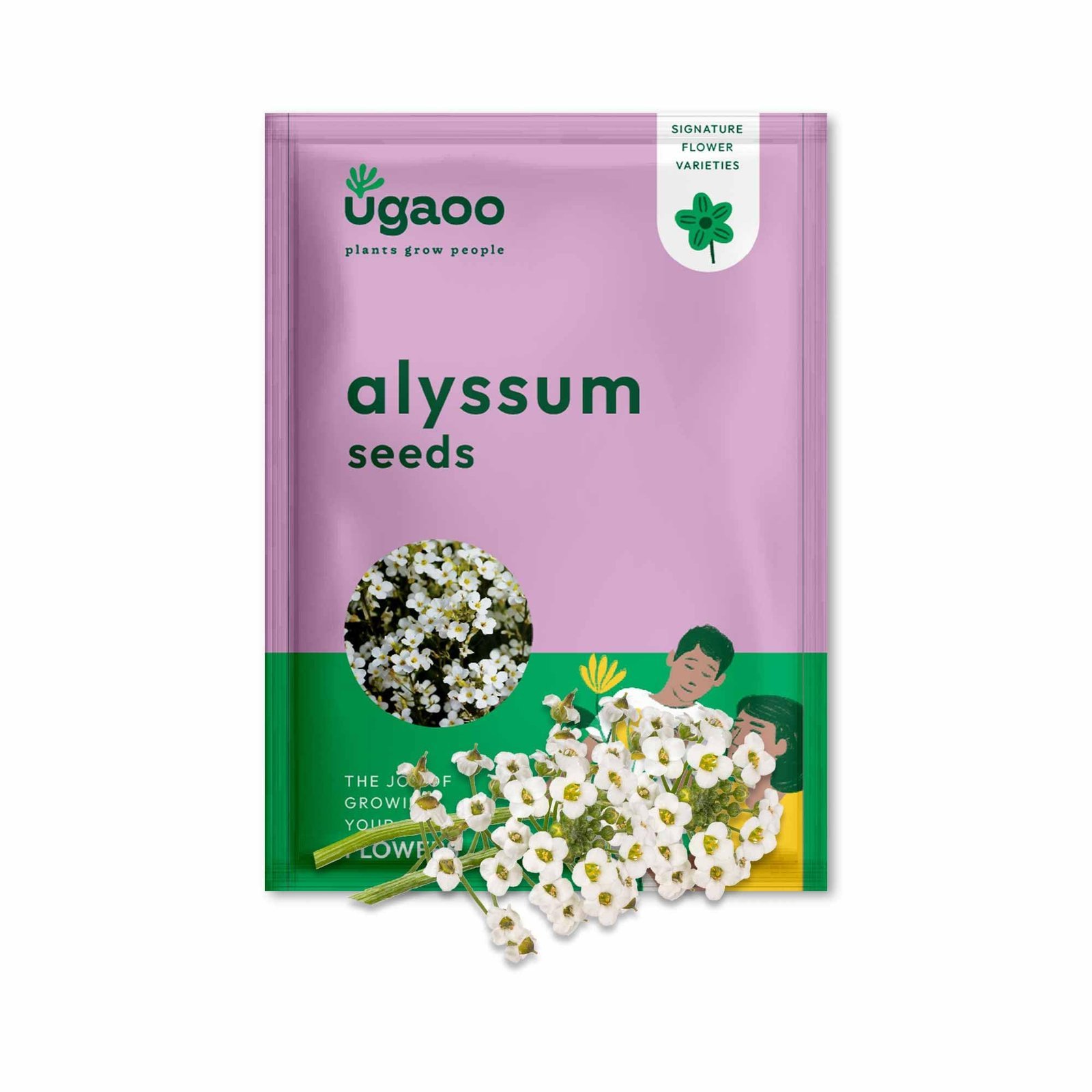 Alyssum Flower Seeds (White, Pack of 100)