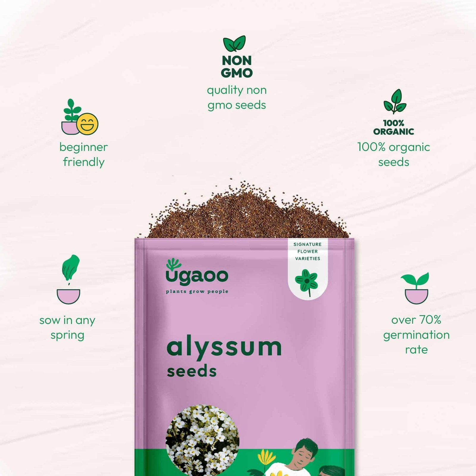 Alyssum Flower Seeds (White, Pack of 100) - Image 6