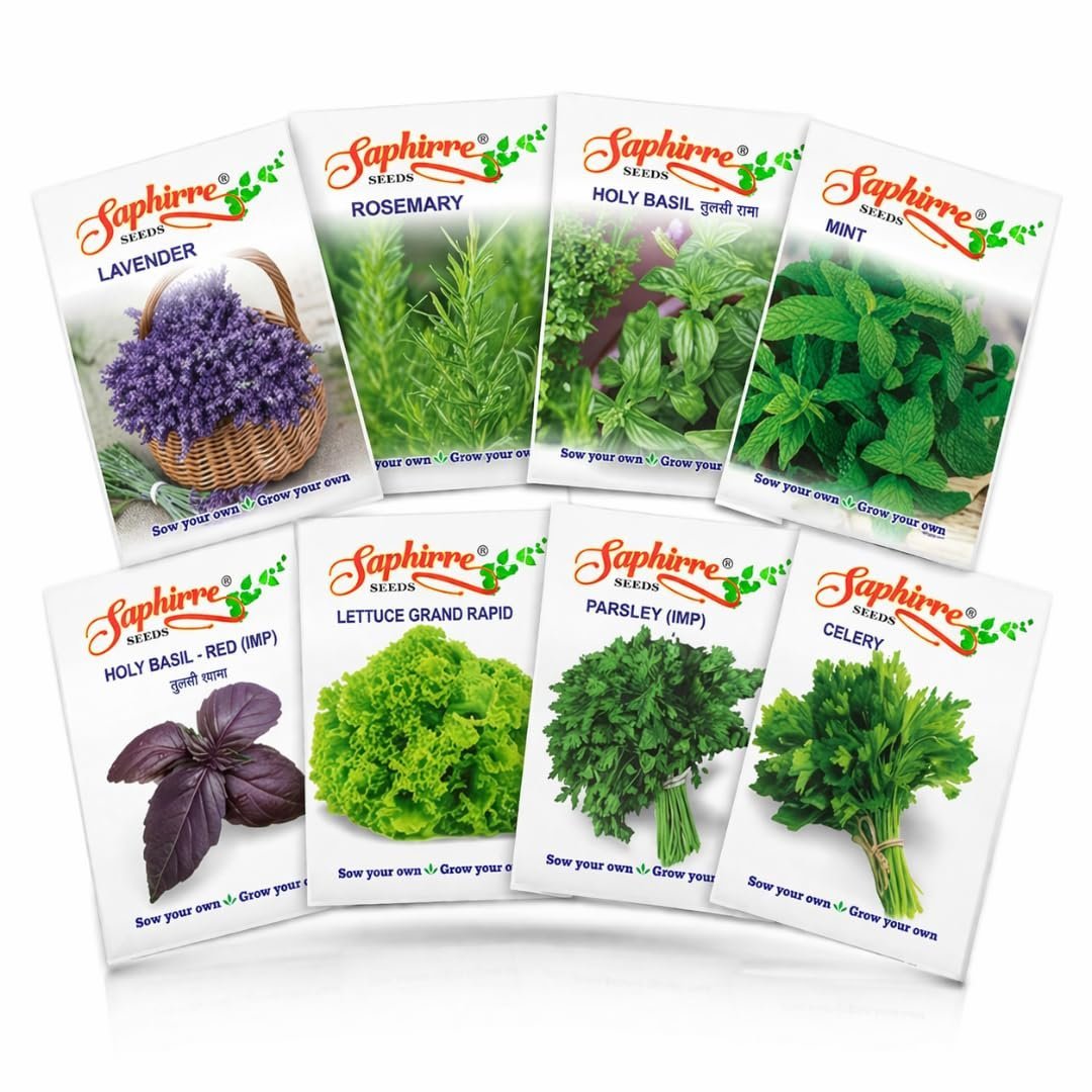 Herb Seeds Combo Pack | 8 Varieties | 950+ Seeds | Rosemary, Mint, Lavender, Tulsi, Red Basil, Parsley, Celery & Lettuce | High Germination | Easy to Grow for Home Gardening