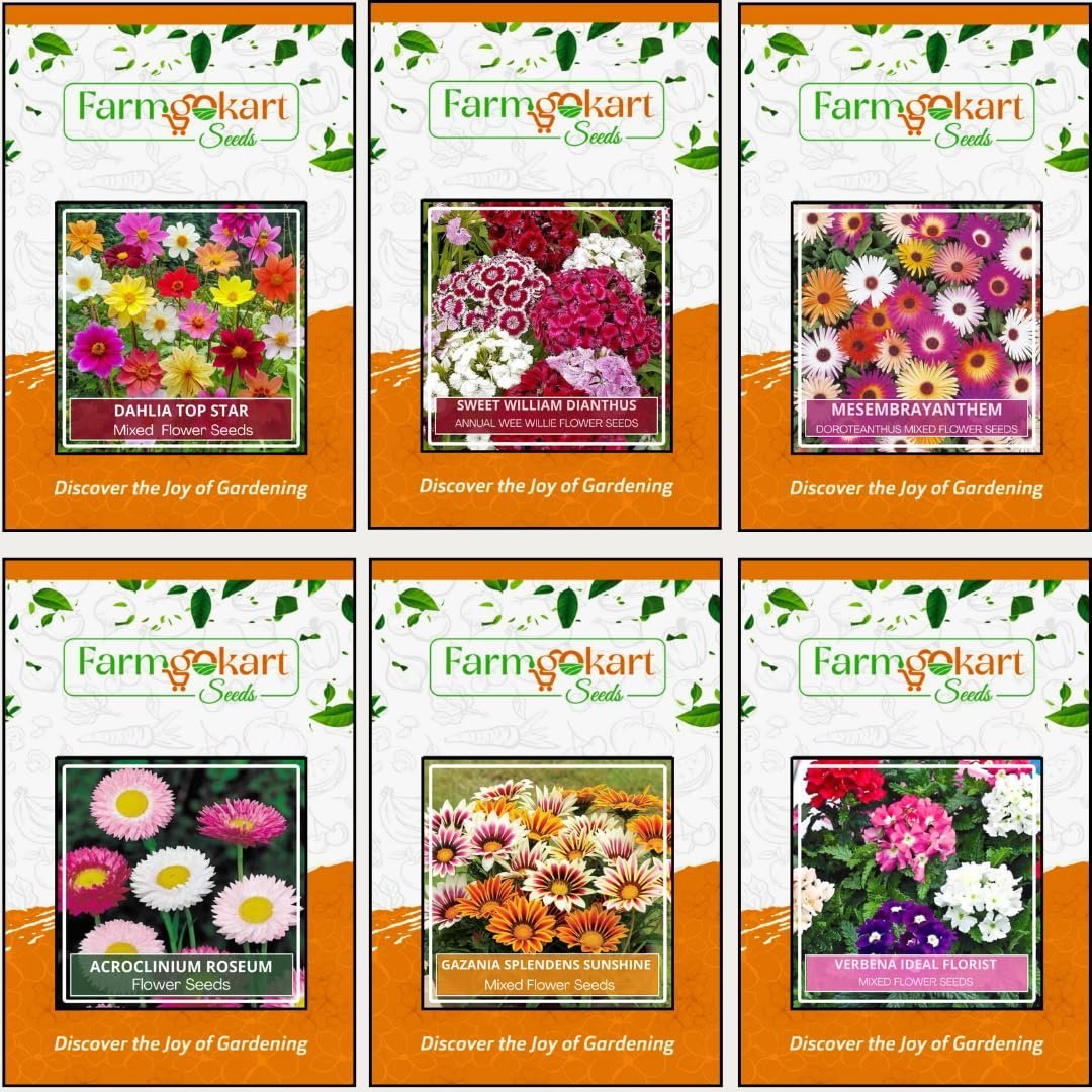 Winter Season ~ Flower Seeds Combo Collection Pack of 6 varieties for Home Garden ~ Dahlia, Sweet William, Mesembrayanthem, Salvia, Gazania and Verbana