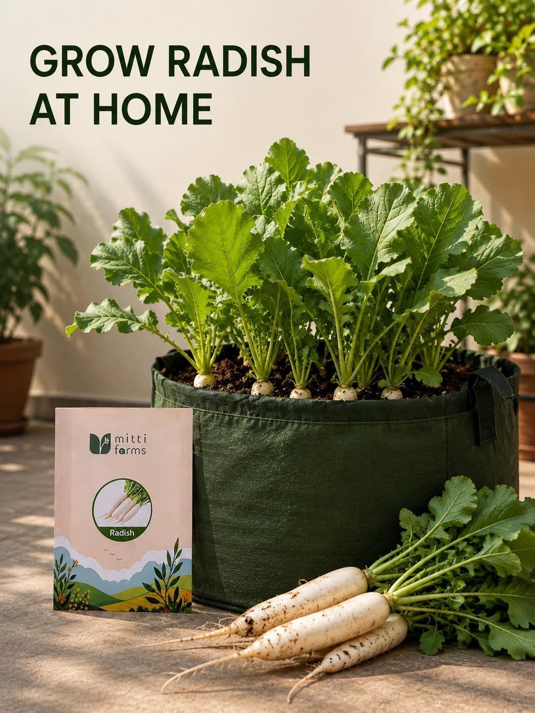 Radish Seeds (Mooli) 20 g | Vegetable Seeds for Home Garden - Image 2