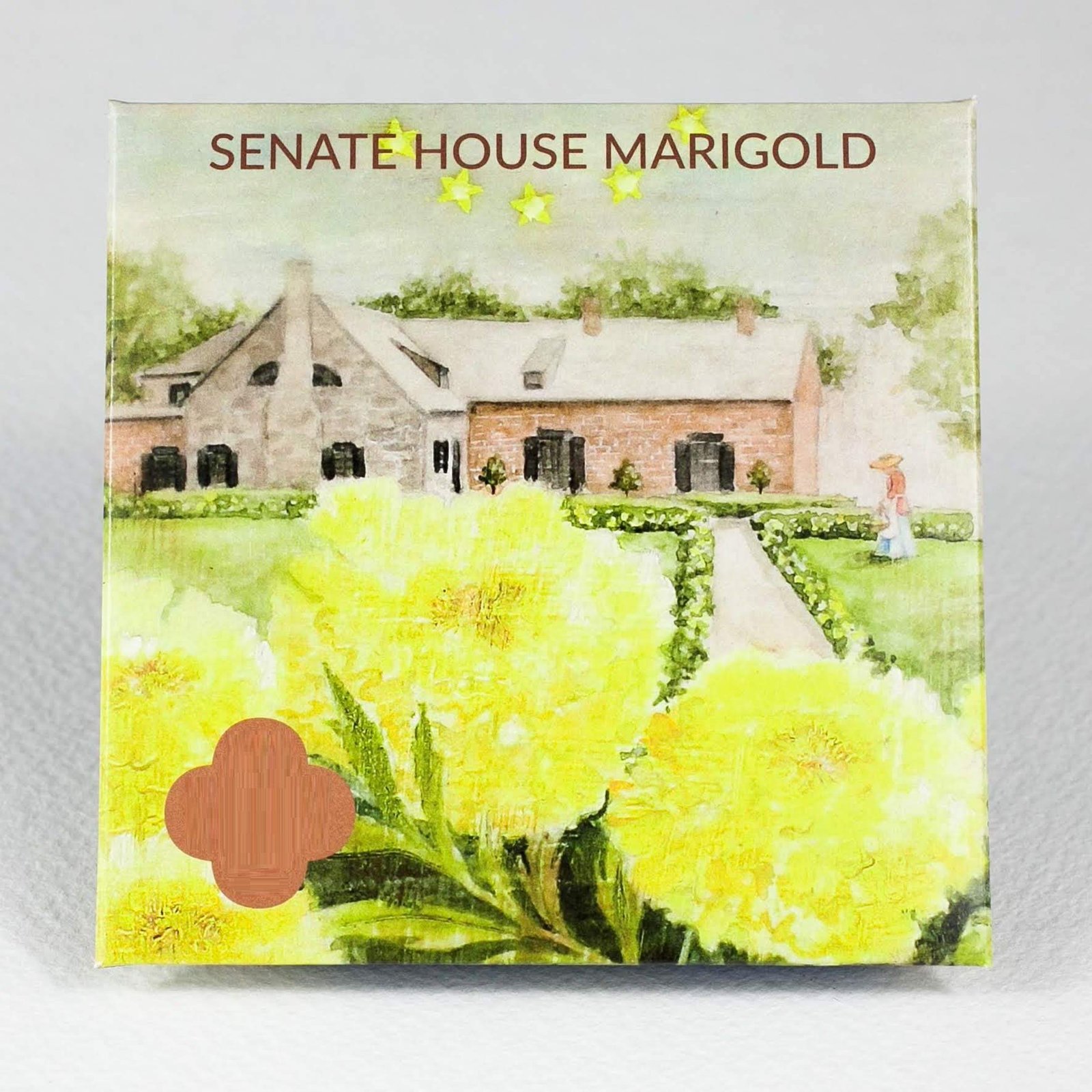 ® XX-137-685-Senate House Marigold Seeds