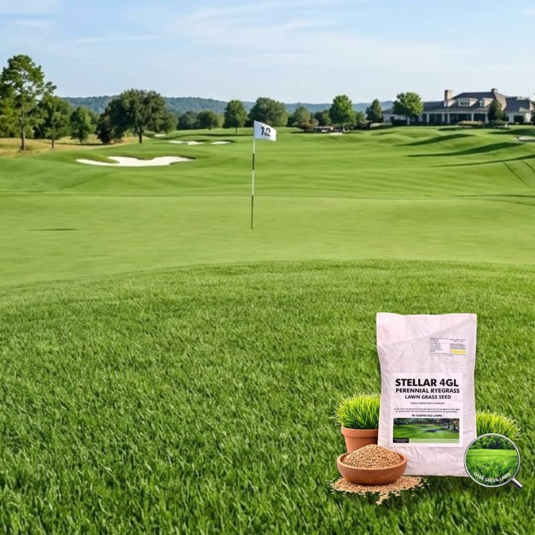 Peak Traders, Stellar 4GL Perennial Ryegrass Lawn Grass Seed, Dark Green Lawn, 5 LBS (2.27 Kg)