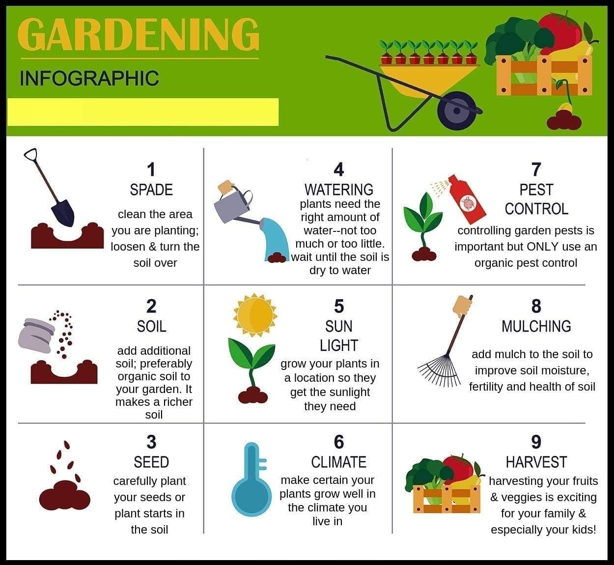Fast Growing Strawberry Baron Seeds for Home Gardening-(50 Seeds) - Image 2