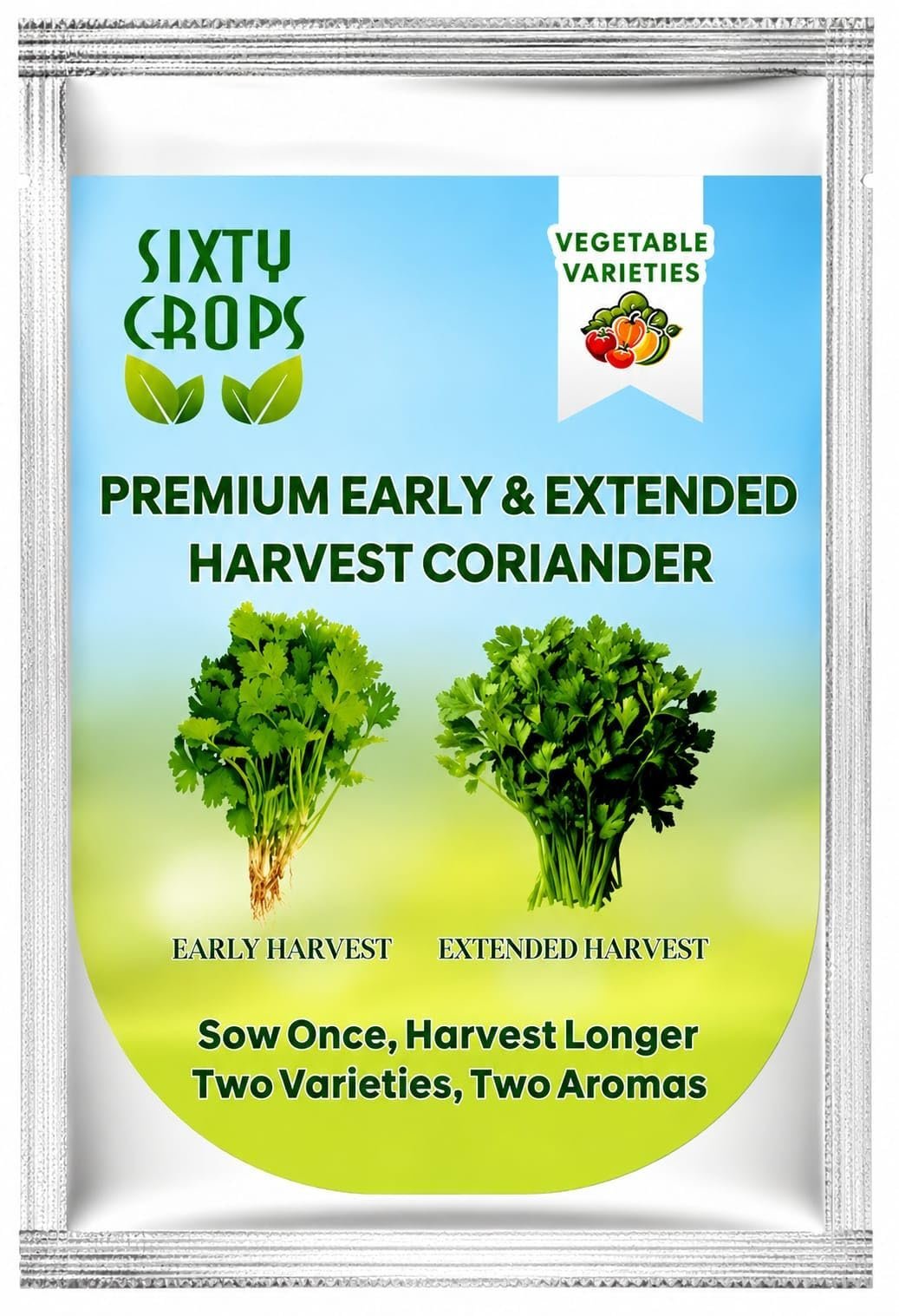 Premium Early & Extended Harvest Coriander (Dhaniya) Seeds Combo Pack |Dual variety| Approx. 3700 seeds |16g | Early & Late Bolting | Kitchen Garden & Terrace Gardening.