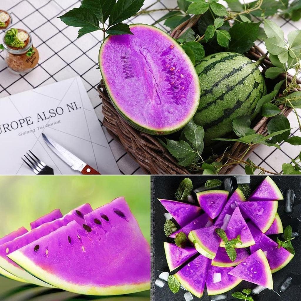 15+ SEEDS-Year-Round Growing Purple Watermelon Seeds - Easy & Low Maintenance - Image 2