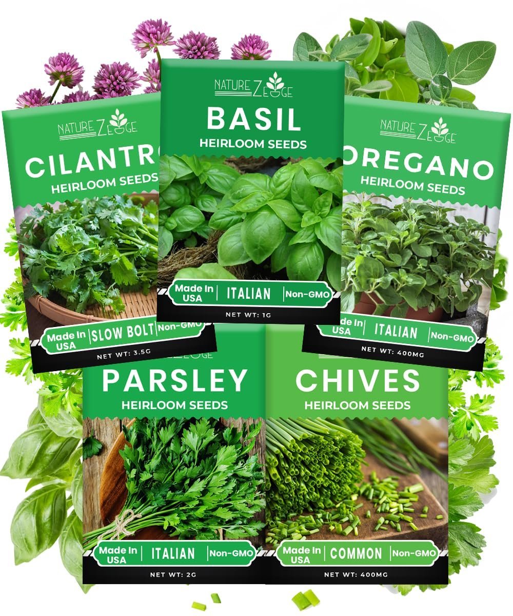 Set of 5 herb seeds, oregano, coriander, parsley, basil, chives