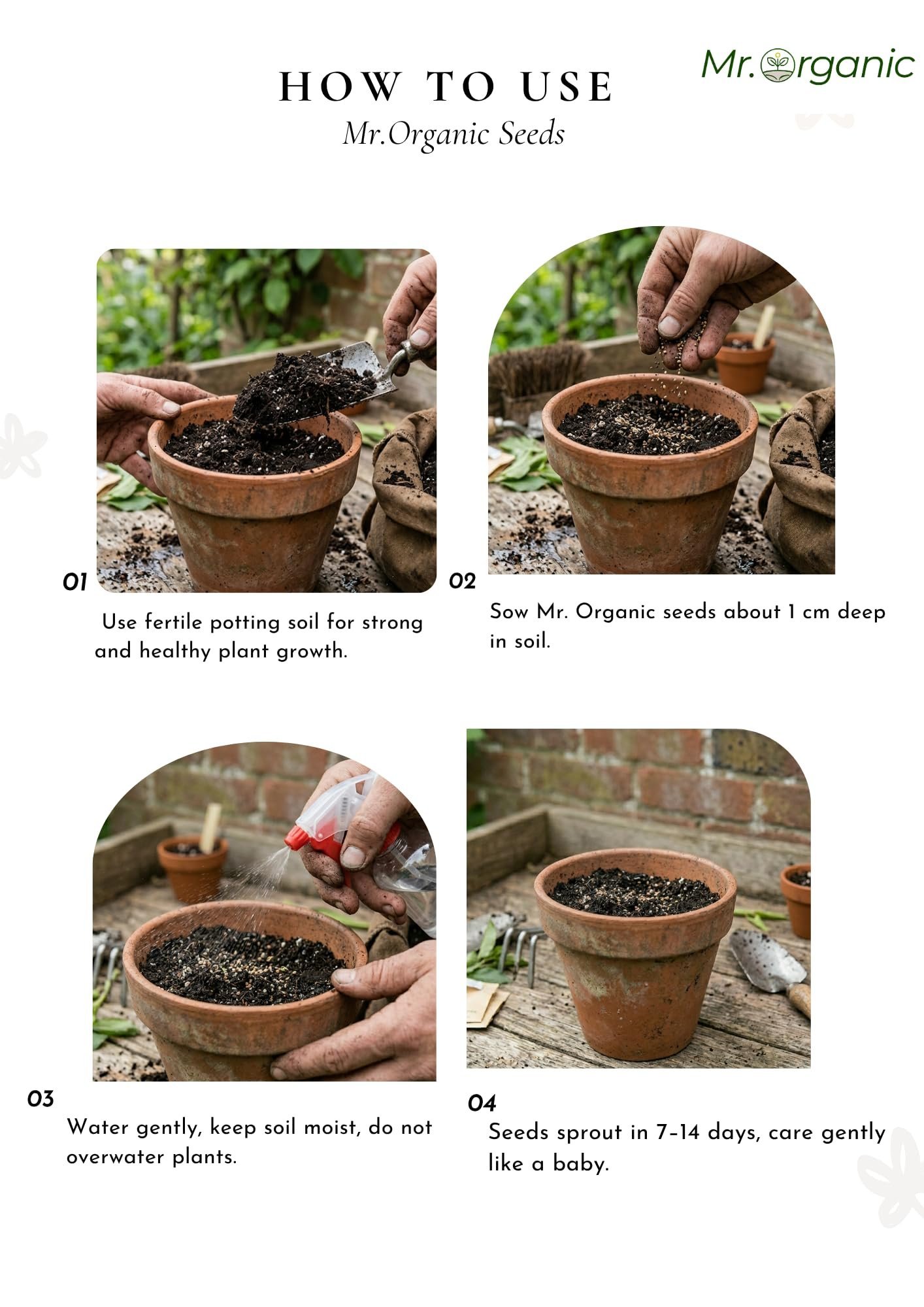 Tulsi Herb Seeds For Home Garden(8000 To 10000 Seeds) 6 Gram | Rama Tulsi Seeds | Herb planting seeds ideal for both home gardening | High Germination Rate - Image 3