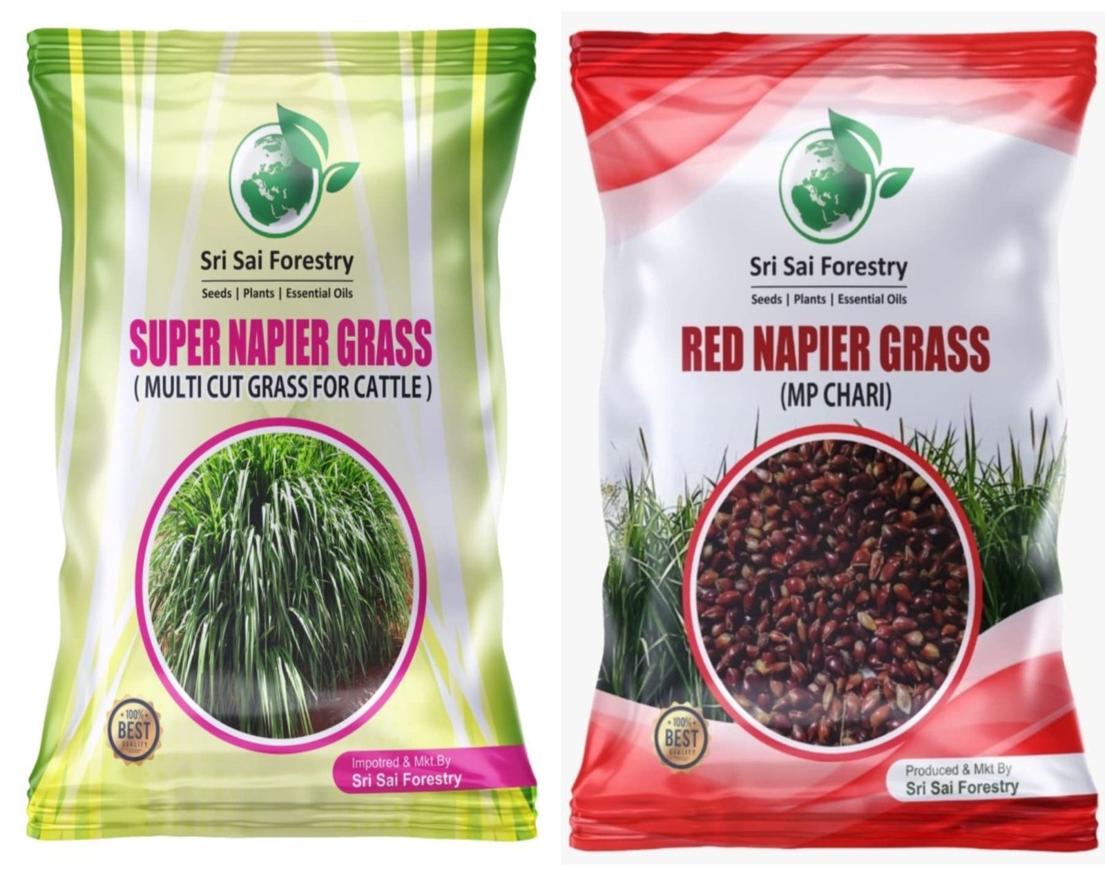 Super Napier & Red Napier Grass (1000 Seeds Each) | High Yield Multi Cut Fodder Grass for Cattle, Goat, Buffalo, Sheep | Nutritious Green Fodder Seeds for Dairy Farming & Livestock