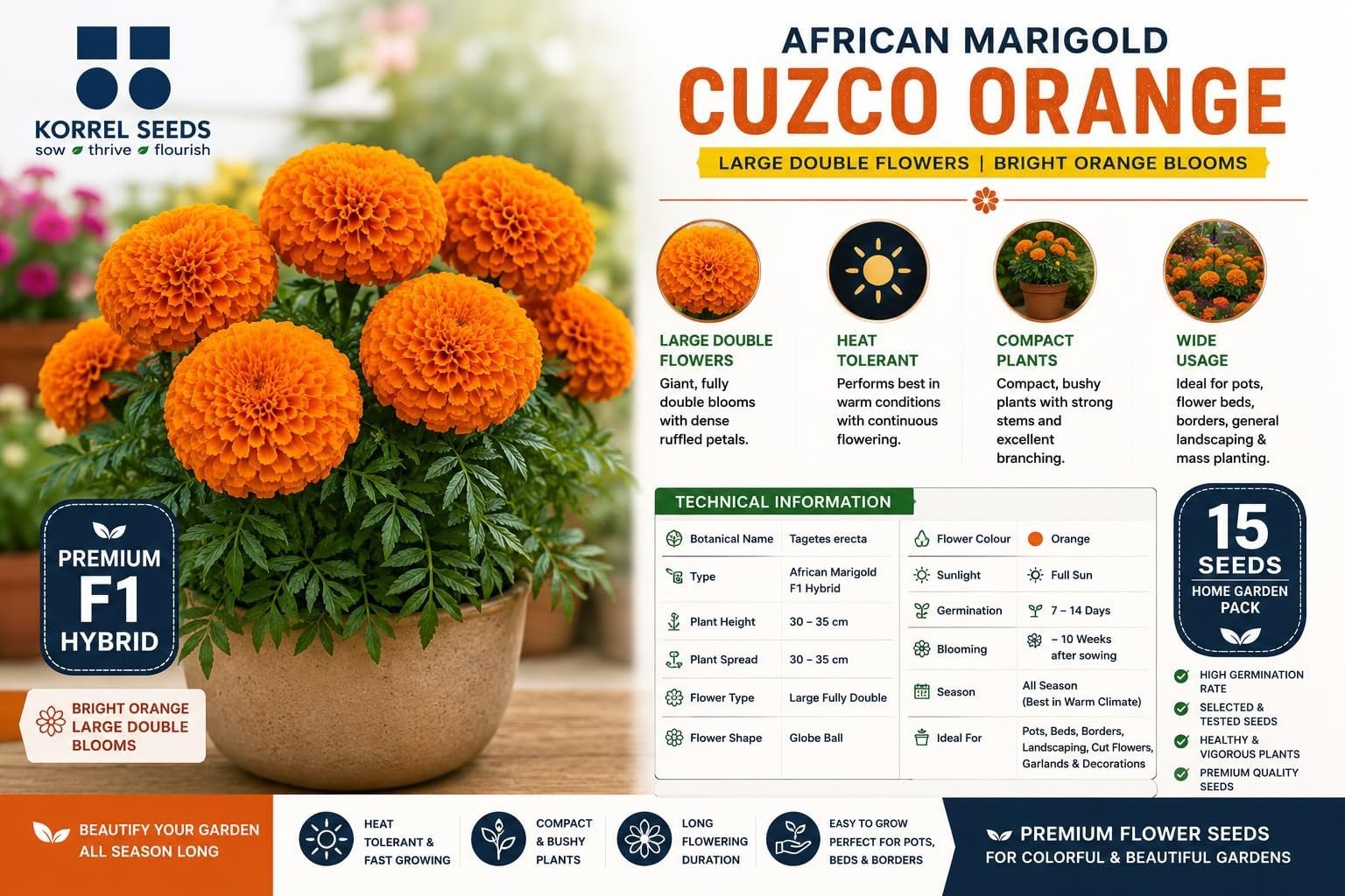 African Marigold Cuzco F1 Hybrid Orange Flower Seeds | Professional Growers Pack | 1000 Seeds | Large Double Flowers | Nursery & Commercial Cultivation (1000 Seeds) - Image 3