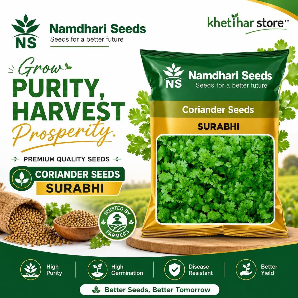 Namdhari Seeds Surabhi Coriander Seeds (Dhania Seeds) 500g - Image 2