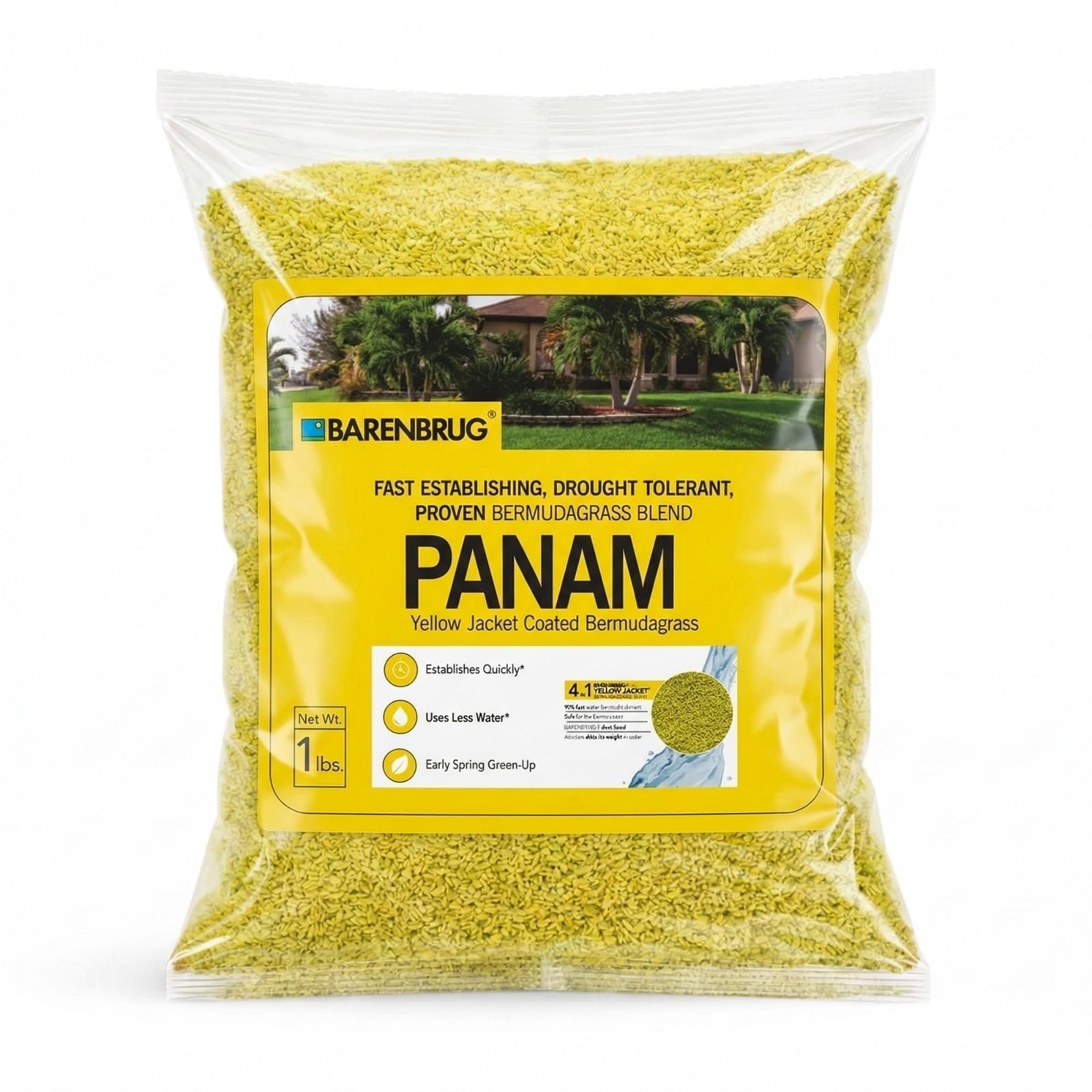 PanAm Bermuda Grass Seeds for Lawn | 454g / 1 Lbs Pack
